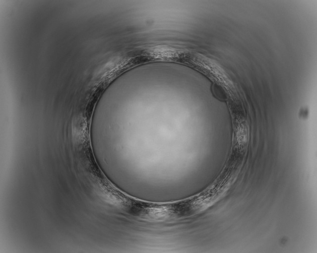 X0000097880411200804110956