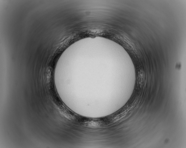 X0000097880412200804110956