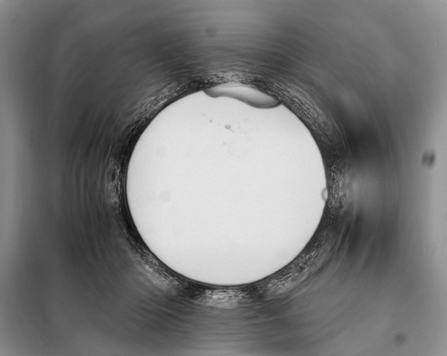 X0000097880414200804110956