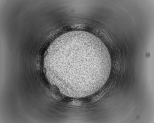 X0000097880416200804110956