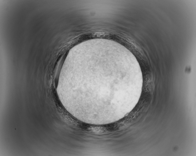 X0000097880417200804110956