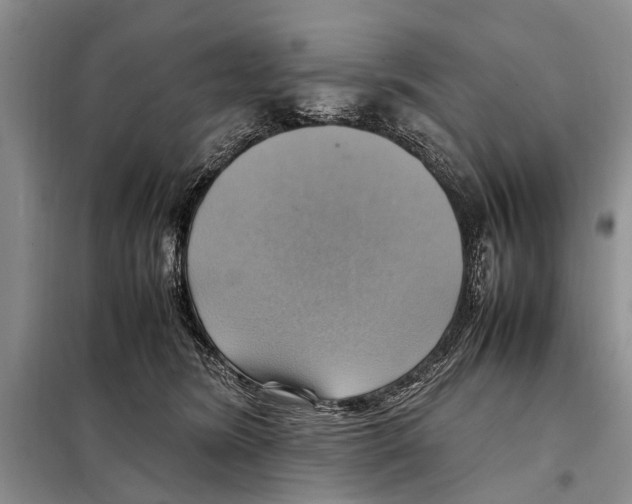 X0000097880420200804110956