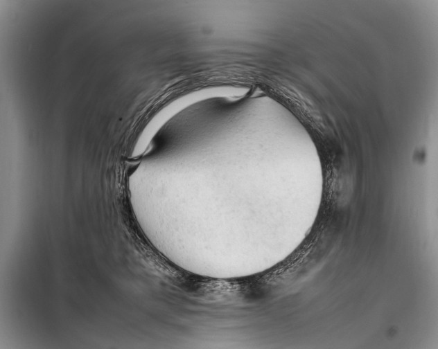 X0000097880421200804110956