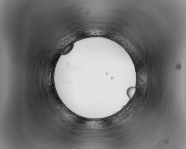 X0000097880422200804110956