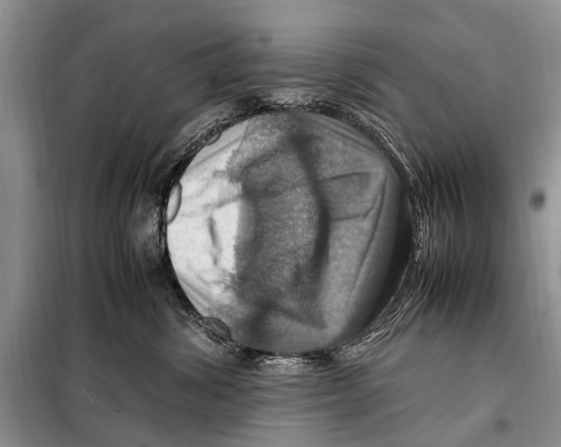 X0000097880428200804110956