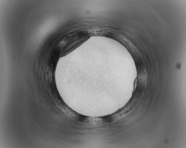 X0000097880429200804110956