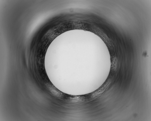 X0000097880430200804110956