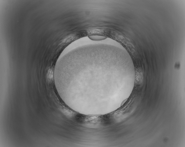 X0000097880431200804110956