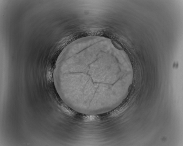 X0000097880432200804110956