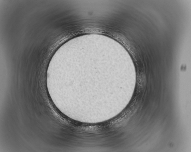 X0000097880433200804110955