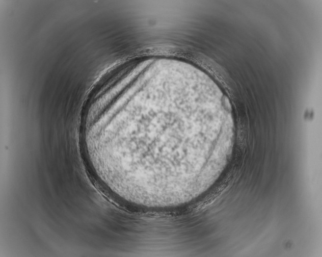 X0000097880434200804110955