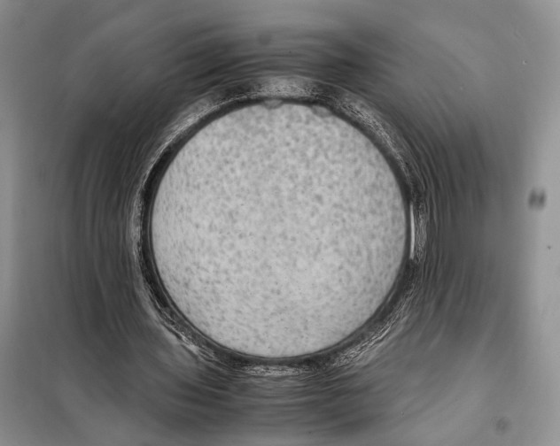 X0000097880435200804110955