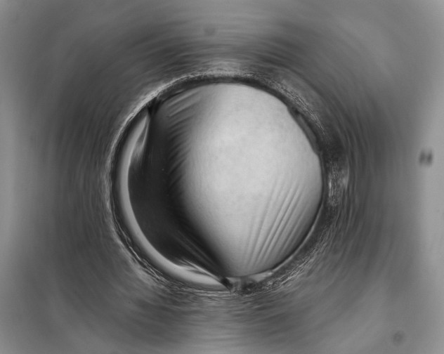 X0000097880436200804110955