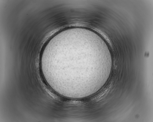 X0000097880437200804110955