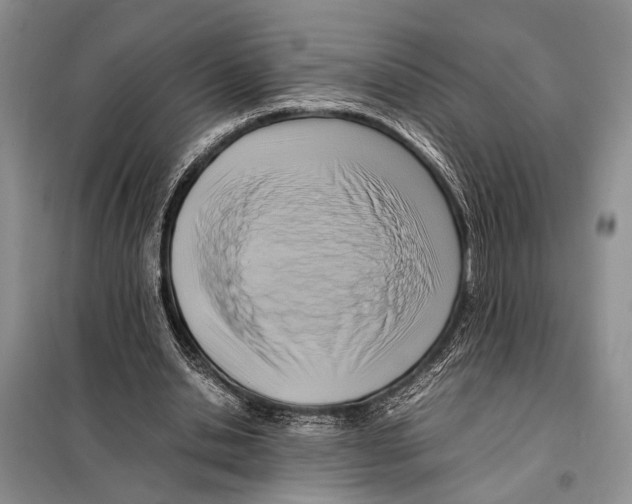 X0000097880438200804110955