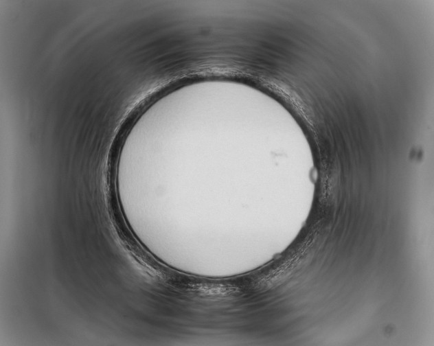 X0000097880439200804110955