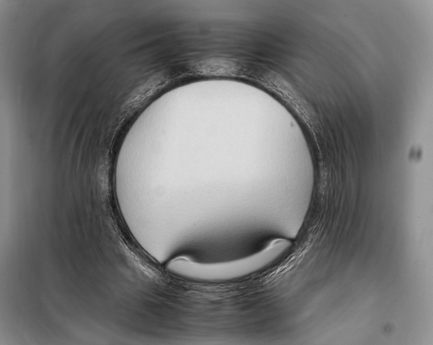 X0000097880441200804110955