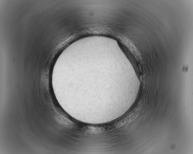 X0000097880442200804110955