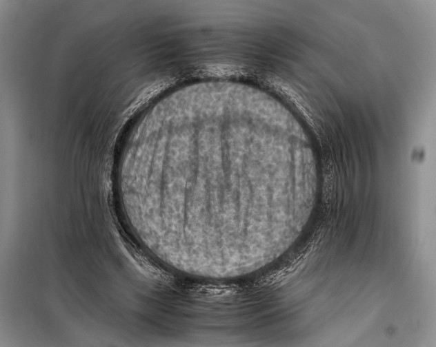 X0000097880443200804110955