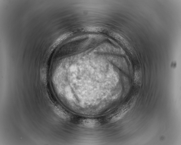 X0000097880444200804110955