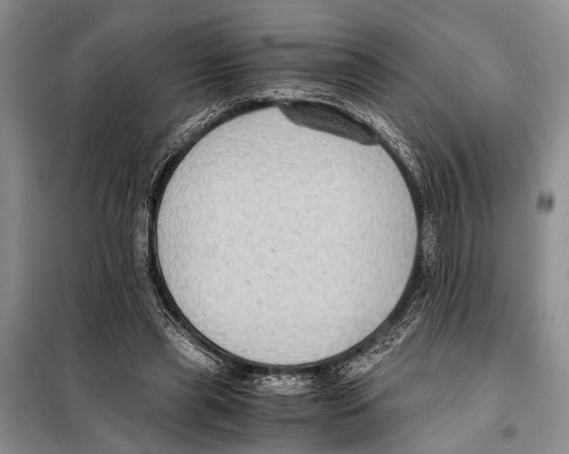 X0000097880445200804110955