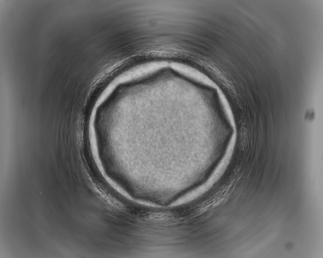 X0000097880446200804110955