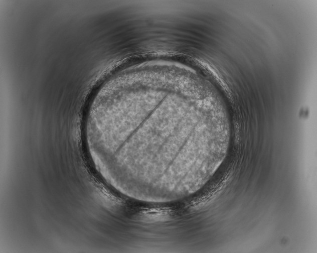 X0000097880447200804110955