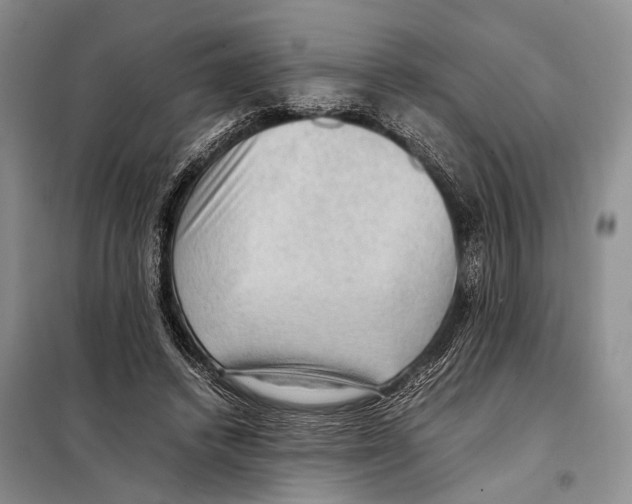 X0000097880448200804110955