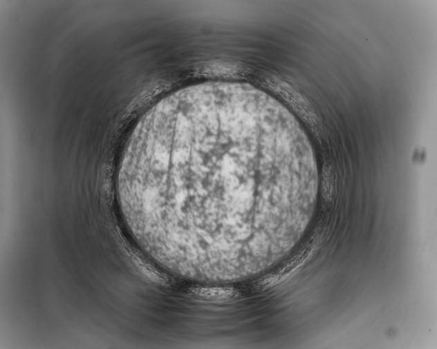 X0000097880449200804110955