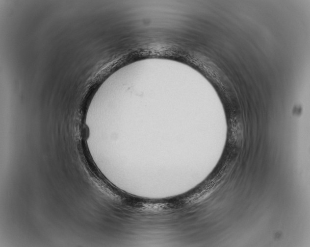 X0000097880450200804110955