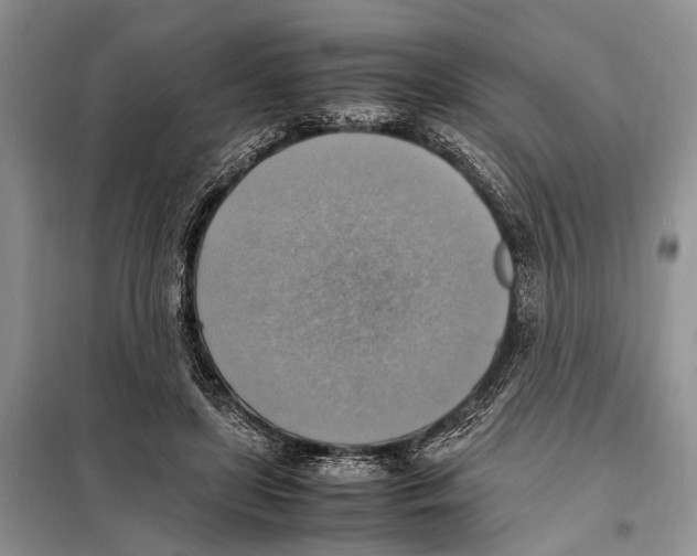 X0000097880451200804110955