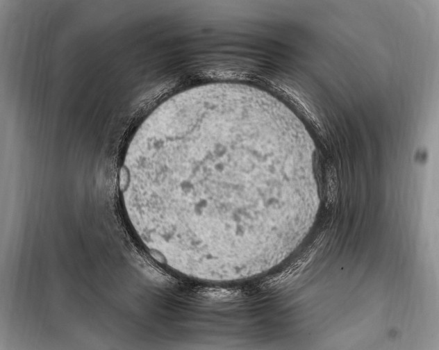 X0000097880453200804110955