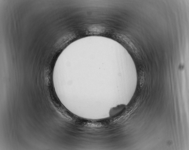 X0000097880455200804110955