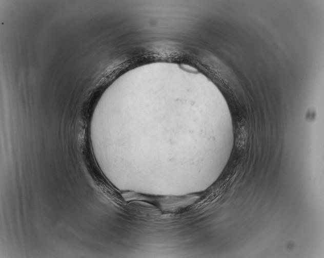 X0000097880456200804110955