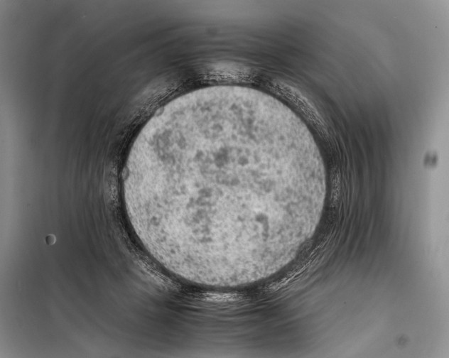 X0000097880457200804110955