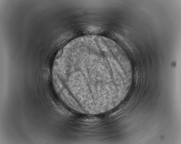 X0000097880459200804110955