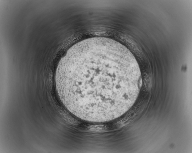 X0000097880461200804110955