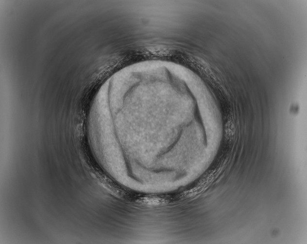 X0000097880464200804110956