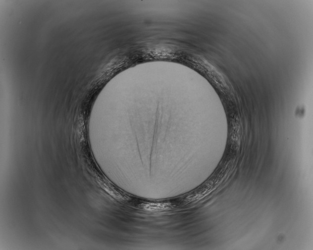 X0000097880465200804110956