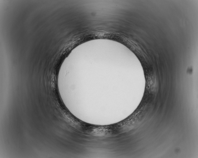 X0000097880470200804110956