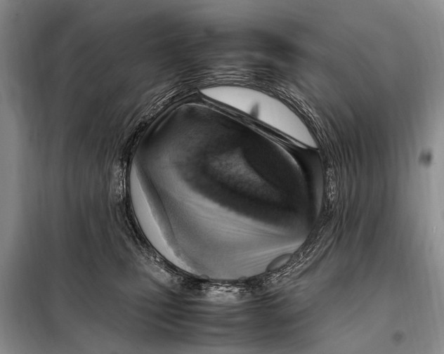 X0000097880471200804110956