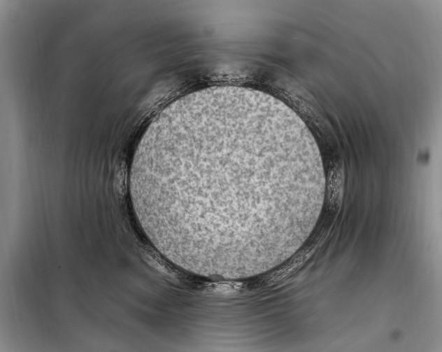 X0000097880474200804110956