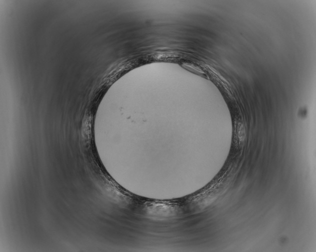 X0000097880475200804110956