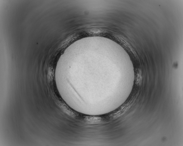 X0000097880476200804110956