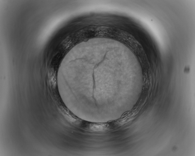 X0000097880479200804110956