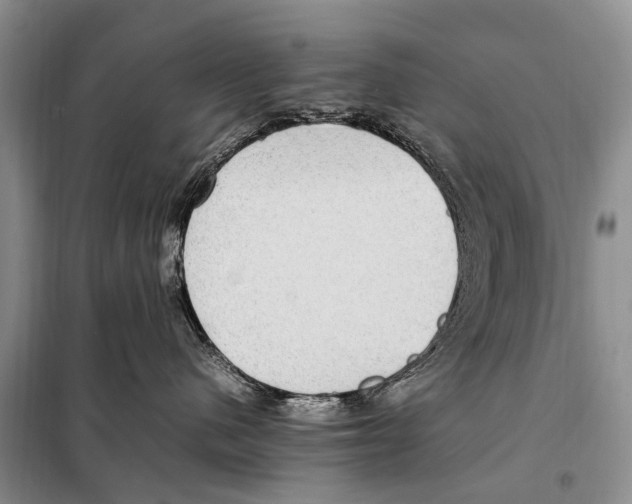 X0000097880480200804110956