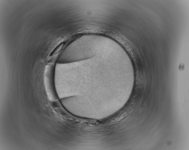 X0000097880481200804110955