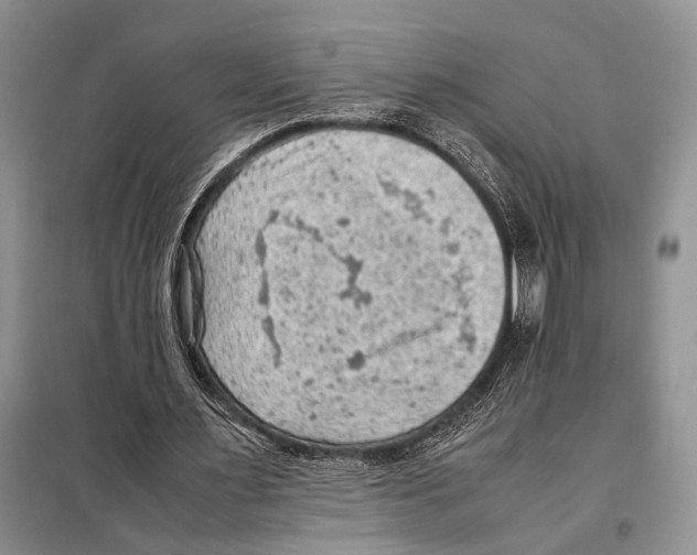 X0000097880483200804110955