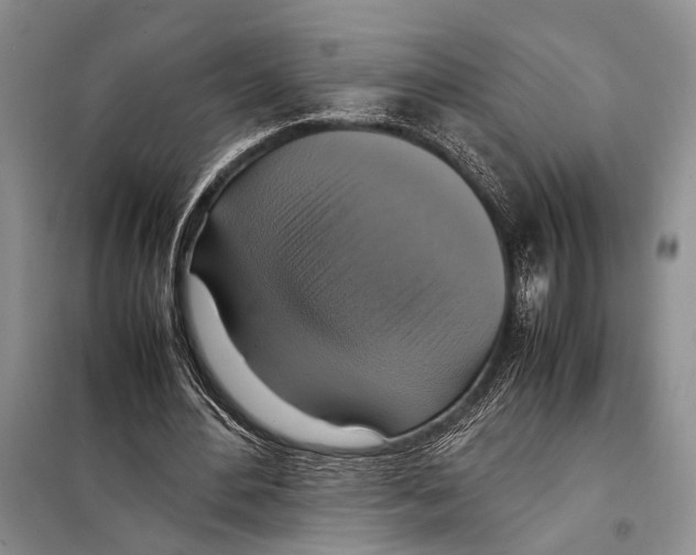 X0000097880484200804110955