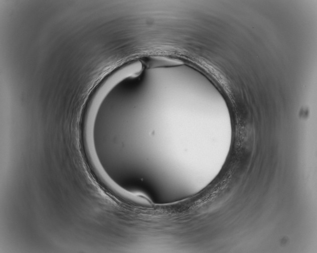 X0000097880485200804110955